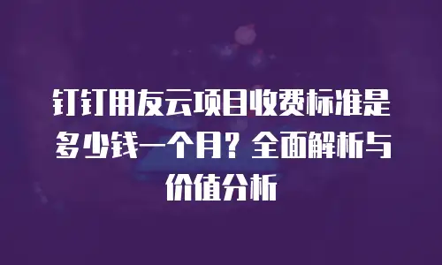 钉钉用友云项目收费标准是多少钱一个月？全面解析与价值分析