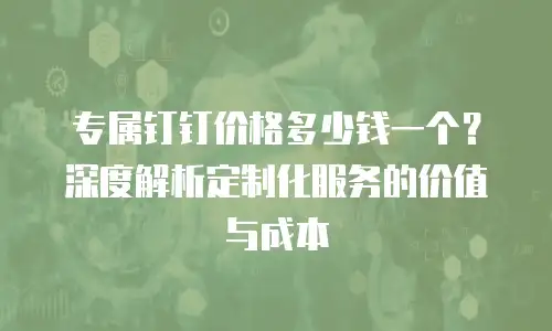 专属钉钉价格多少钱一个？深度解析定制化服务的价值与成本