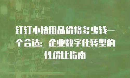钉钉小猪用品价格多少钱一个合适：企业数字化转型的性价比指南