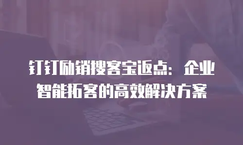 钉钉励销搜客宝返点：企业智能拓客的高效解决方案