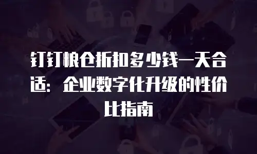 钉钉粮仓折扣多少钱一天合适：企业数字化升级的性价比指南