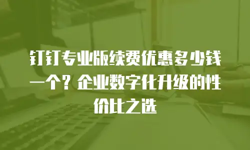 钉钉专业版续费优惠多少钱一个？企业数字化升级的性价比之选