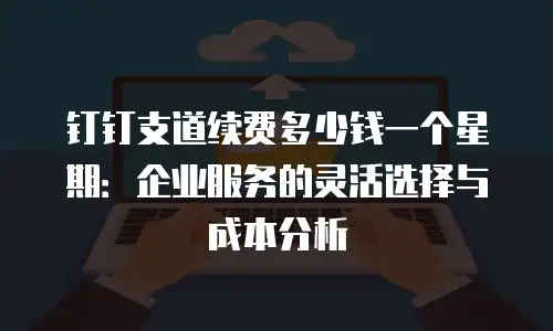 钉钉支道续费多少钱一个星期：企业服务的灵活选择与成本分析