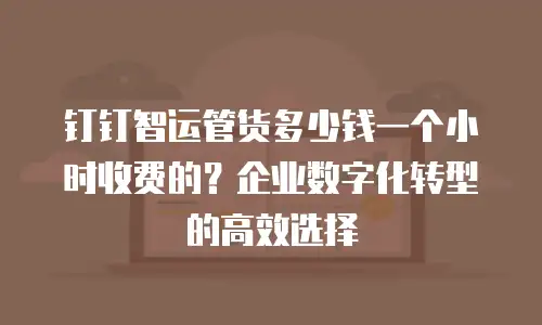 钉钉智运管货多少钱一个小时收费的？企业数字化转型的高效选择