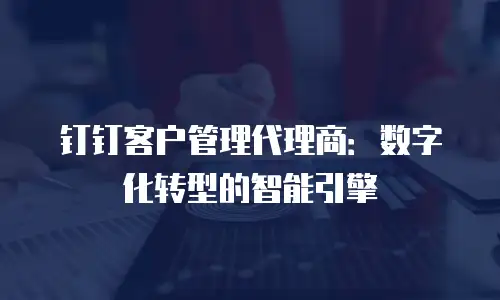 钉钉客户管理代理商：数字化转型的智能引擎