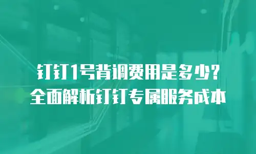钉钉1号背调费用是多少？全面解析钉钉专属服务成本