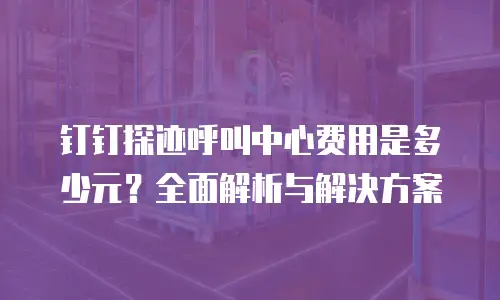 钉钉探迹呼叫中心费用是多少元？全面解析与解决方案