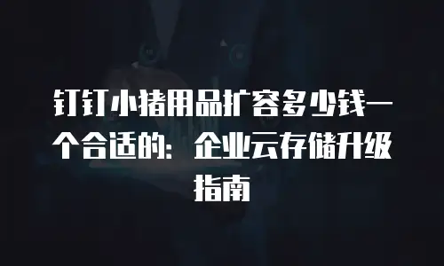 钉钉小猪用品扩容多少钱一个合适的：企业云存储升级指南