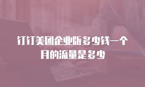 钉钉美团企业版多少钱一个月的流量是多少