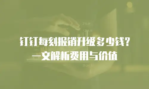 钉钉每刻报销升级多少钱？一文解析费用与价值