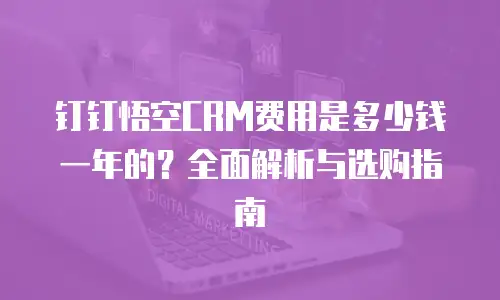 钉钉悟空CRM费用是多少钱一年的？全面解析与选购指南