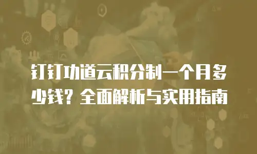 钉钉功道云积分制一个月多少钱？全面解析与实用指南