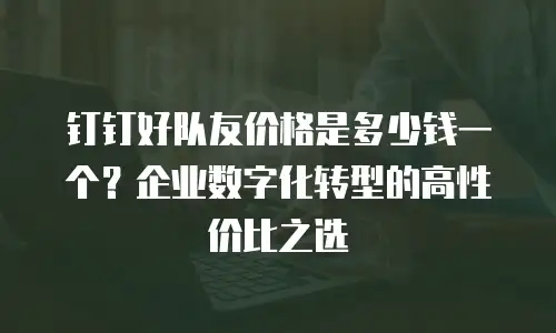 钉钉好队友价格是多少钱一个？企业数字化转型的高性价比之选