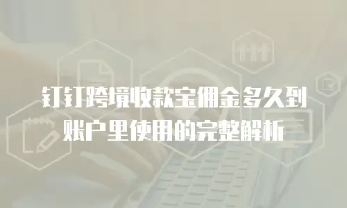 钉钉跨境收款宝佣金多久到账户里使用的完整解析