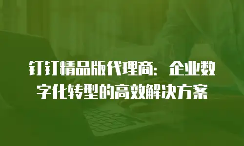 钉钉精品版代理商：企业数字化转型的高效解决方案