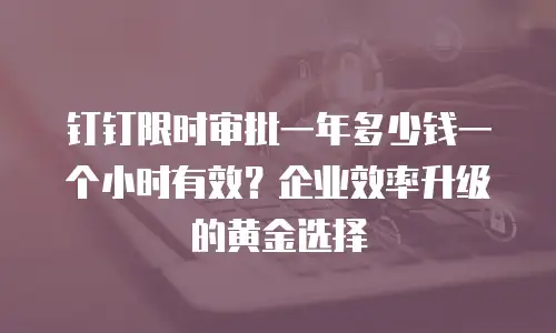钉钉限时审批一年多少钱一个小时有效？企业效率升级的黄金选择