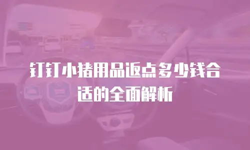 钉钉小猪用品返点多少钱合适的全面解析
