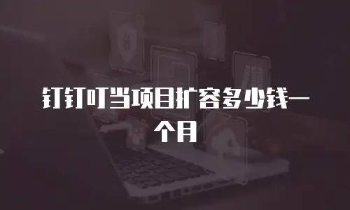 钉钉叮当项目扩容多少钱一个月