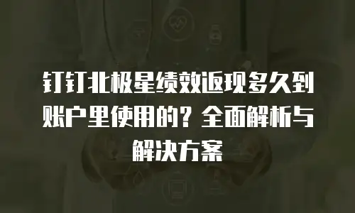 钉钉北极星绩效返现多久到账户里使用的？全面解析与解决方案