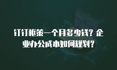钉钉枢策一个月多少钱？企业办公成本如何规划？