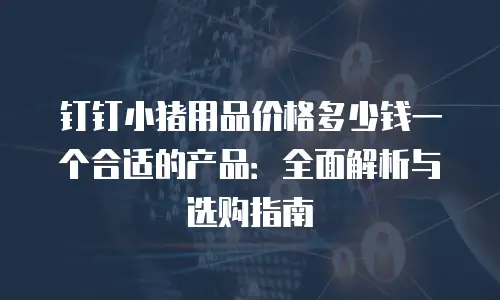 钉钉小猪用品价格多少钱一个合适的产品：全面解析与选购指南