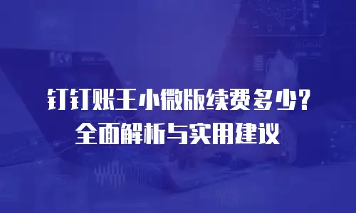 钉钉账王小微版续费多少？全面解析与实用建议