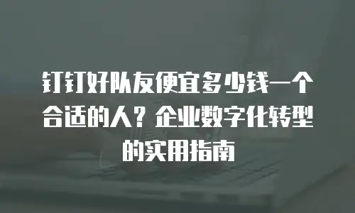 钉钉好队友便宜多少钱一个合适的人？企业数字化转型的实用指南