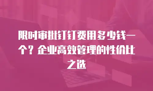 限时审批钉钉费用多少钱一个？企业高效管理的性价比之选