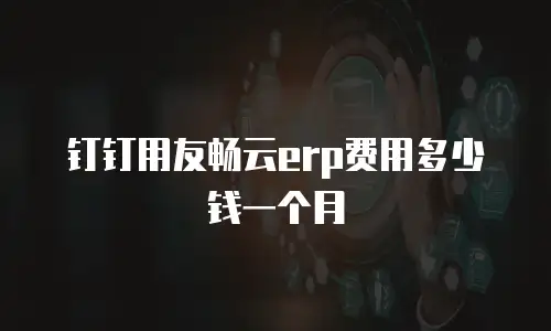 钉钉用友畅云erp费用多少钱一个月