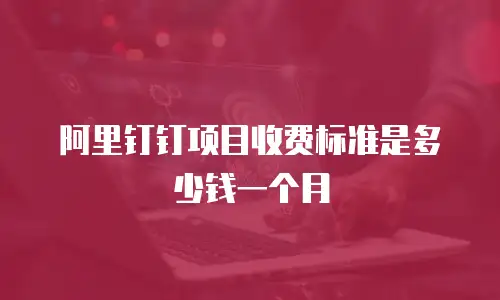 阿里钉钉项目收费标准是多少钱一个月