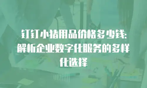 钉钉小猪用品价格多少钱：解析企业数字化服务的多样化选择