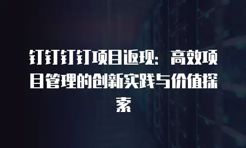钉钉钉钉项目返现：高效项目管理的创新实践与价值探索