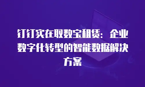 钉钉实在取数宝租赁：企业数字化转型的智能数据解决方案