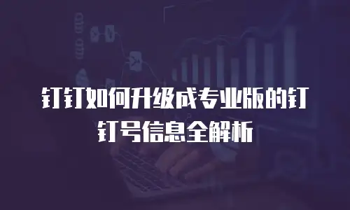 钉钉如何升级成专业版的钉钉号信息全解析