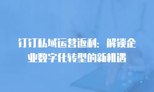 钉钉私域运营返利：解锁企业数字化转型的新机遇