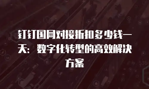 钉钉国网对接折扣多少钱一天：数字化转型的高效解决方案