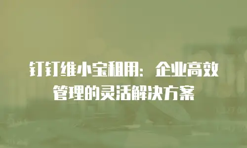 钉钉维小宝租用：企业高效管理的灵活解决方案