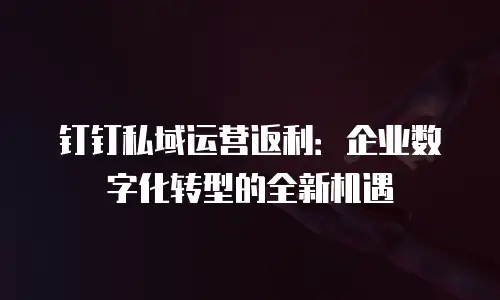 钉钉私域运营返利：企业数字化转型的全新机遇