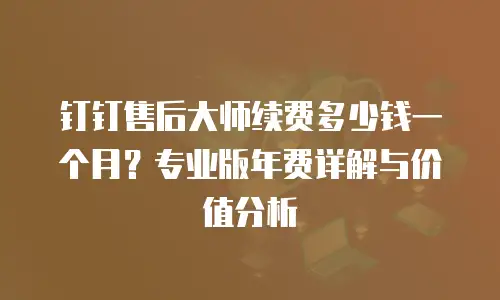 钉钉售后大师续费多少钱一个月？专业版年费详解与价值分析
