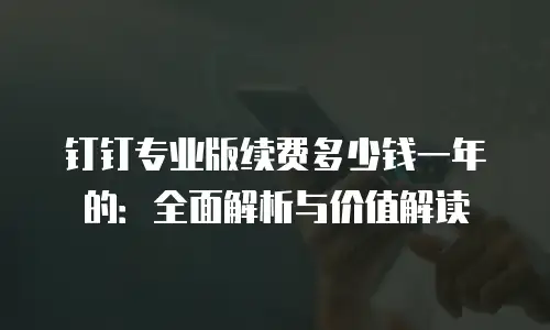 钉钉专业版续费多少钱一年的：全面解析与价值解读