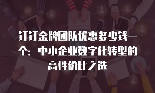 钉钉金牌团队优惠多少钱一个：中小企业数字化转型的高性价比之选
