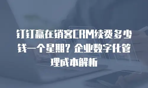 钉钉赢在销客CRM续费多少钱一个星期？企业数字化管理成本解析