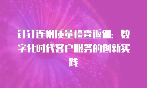 钉钉连帆质量检查返佣：数字化时代客户服务的创新实践