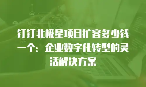 钉钉北极星项目扩容多少钱一个：企业数字化转型的灵活解决方案