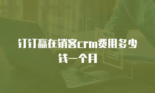 钉钉赢在销客crm费用多少钱一个月