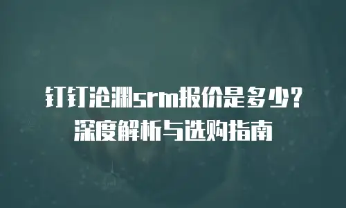 钉钉沧渊srm报价是多少？深度解析与选购指南