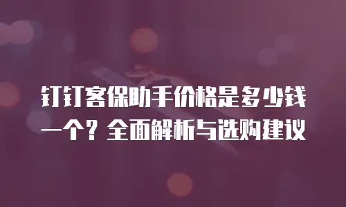 钉钉客保助手价格是多少钱一个？全面解析与选购建议