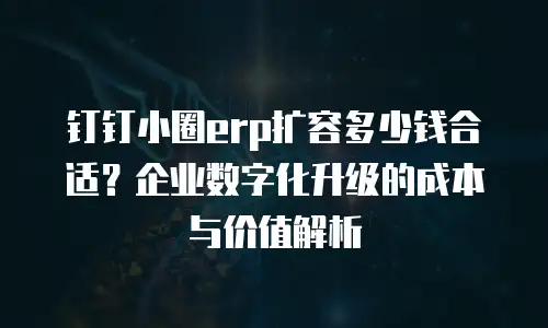 钉钉小圈erp扩容多少钱合适？企业数字化升级的成本与价值解析