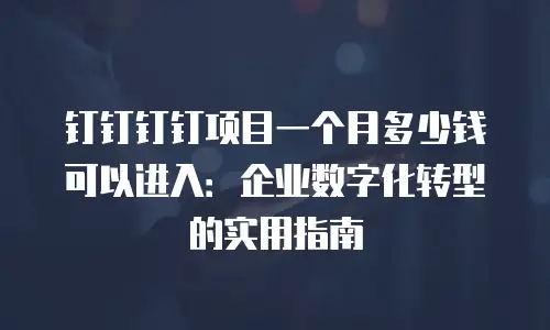 钉钉钉钉项目一个月多少钱可以进入：企业数字化转型的实用指南