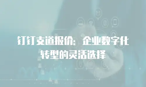 钉钉支道报价：企业数字化转型的灵活选择